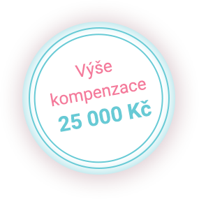 Výše kompenzace 25 000 Kč